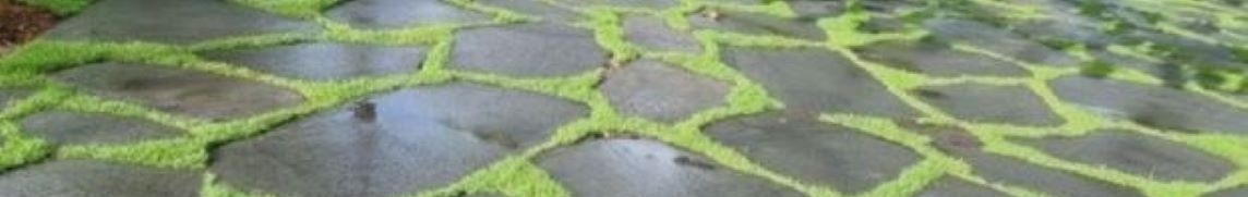 Đá Basalt